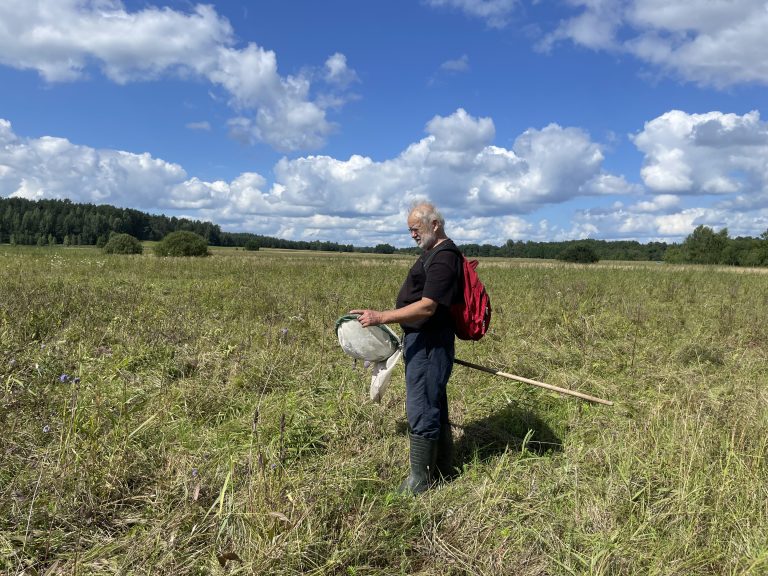 Reportažas iš Ginučių pievų – vabzdžiai ir augalai su entomologu Povilu Ivinskiu