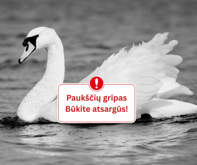 Nustatytas virusas laukiniuose paukščiuose: VMVT ragina gyventojus būti budrius