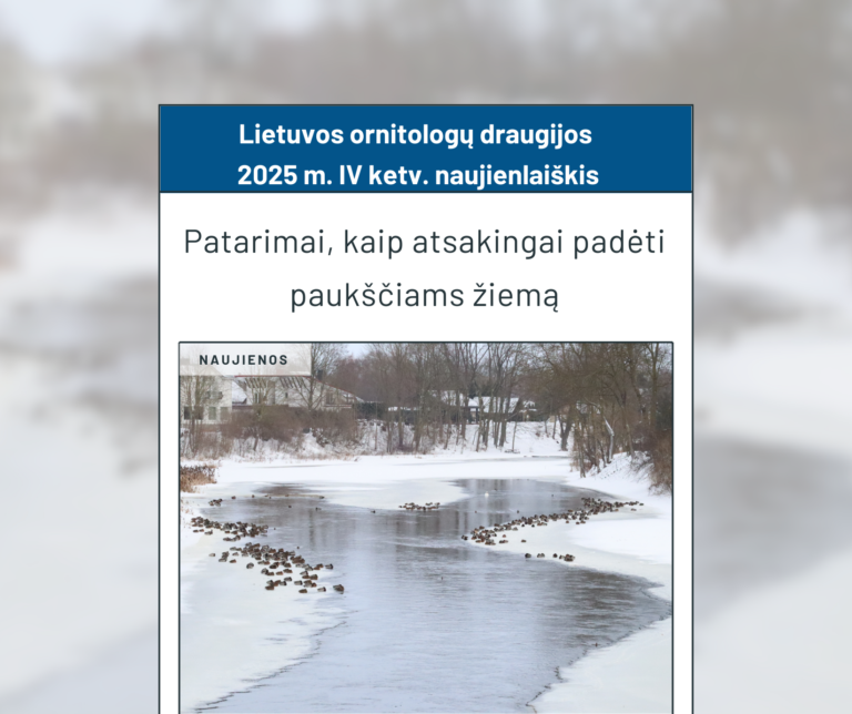 Kviečiame skaityti Draugijos IV-to ketvirčio naujienlaiškį!