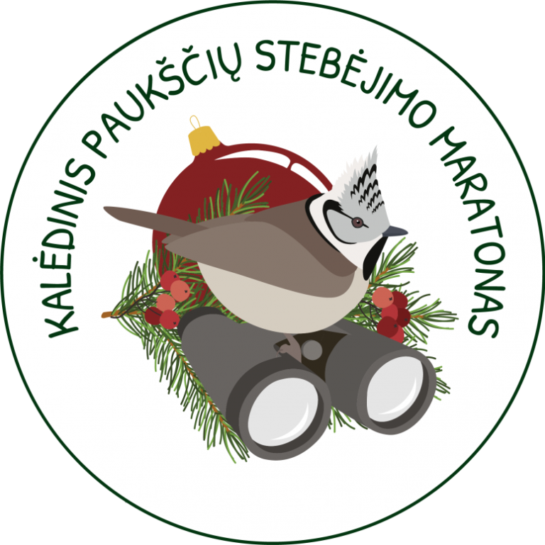 Kalėdinio paukščių stebėjimo maratono 2025 apžvalga