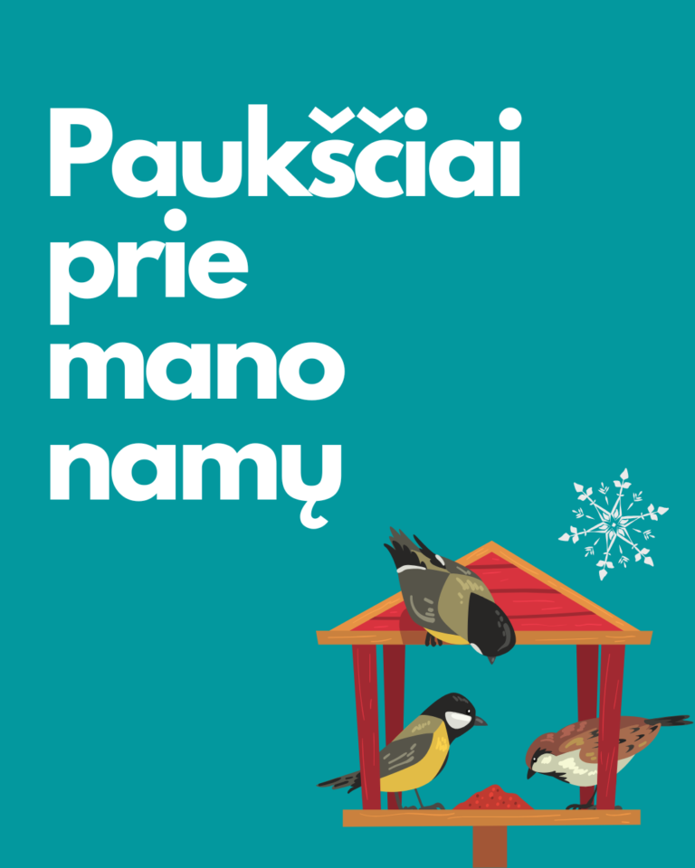 Kviečiame dalyvauti akcijoje „Paukščiai prie mano namų” 2026