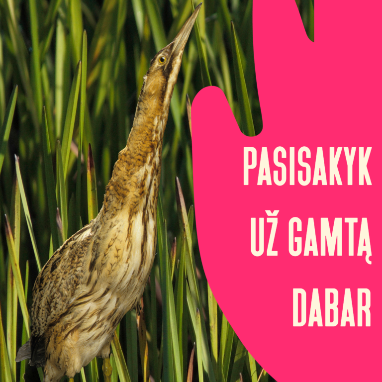 Pasirašykite peticiją: šalin rankas nuo gamtos!