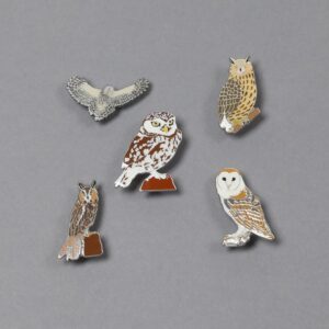 Ženkleliai "Pelėdiniai paukščiai" (Nr.11)