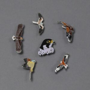 Ženkleliai "Plėšrieji paukščiai" (Nr.5)