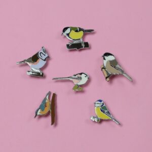 Ženkleliai "Zylės ir giminaičiai" (Nr.4)