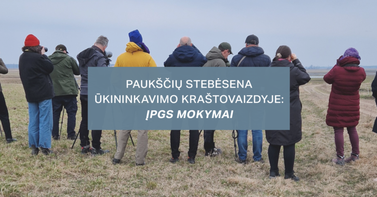 Kviečiame dalyvauti ĮPGS mokymuose balandžio 11 d.