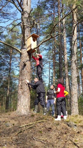 Padovanok paukščiams namus: tavo 1,2 % tai daugiau, nei manai