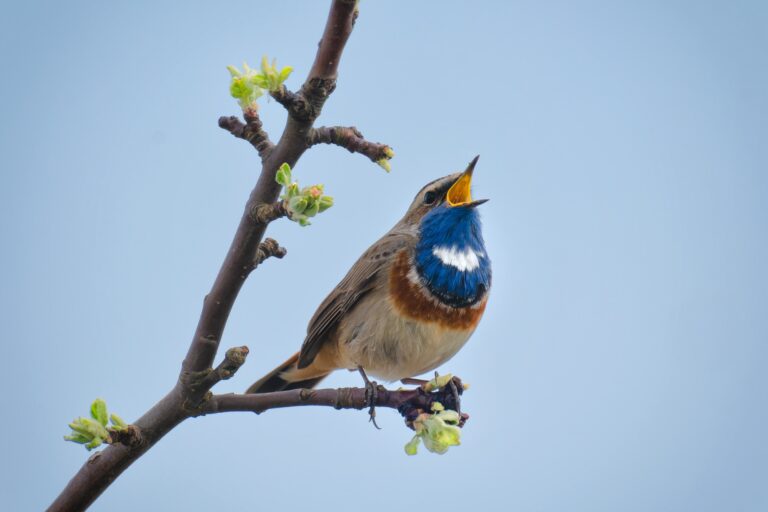 Sveikiname sulaukus Šv. Velykų!