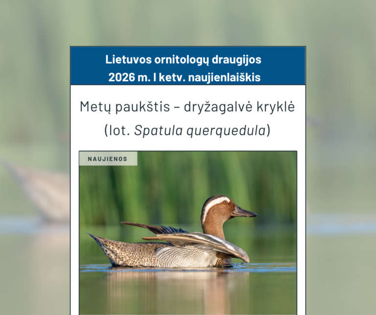 Kviečiame skaityti Draugijos 2026 m. I-to ketvirčio naujienlaiškį!