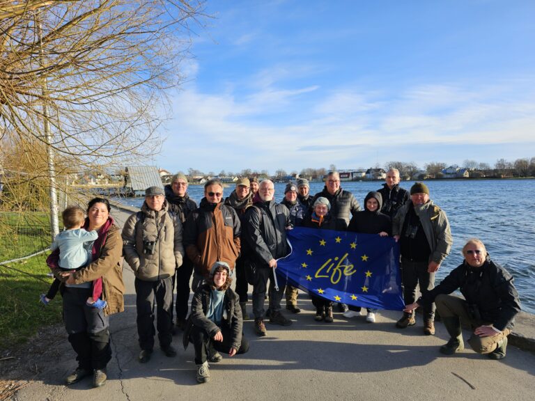 LIFE LWfG CLIMATE projekto partneriai ir ekspertai Estijoje aptarė mažosios žąsies apsaugos ateitį