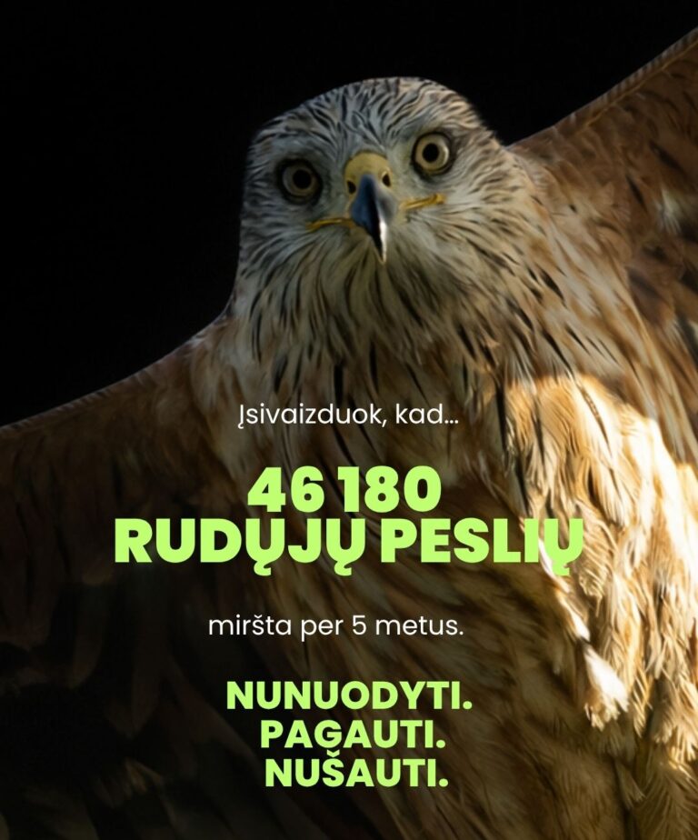 Pasirašykite peticiją prieš paukščių ir gyvūnų nuodijimą