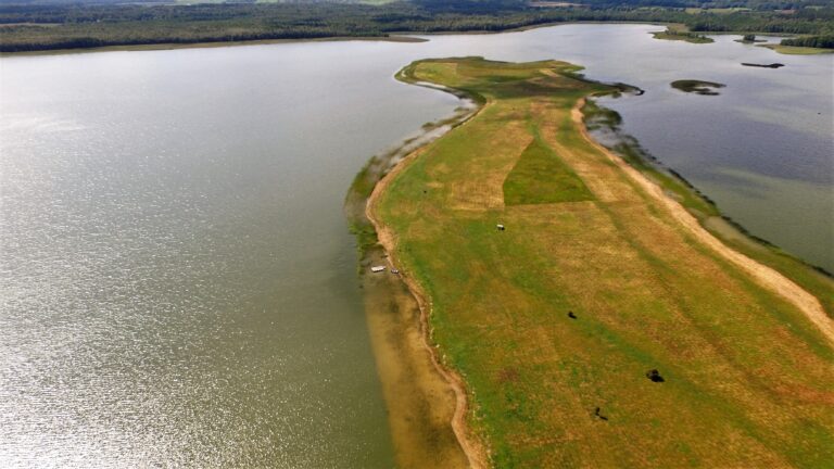 Informacinis pranešimas apie parengtą paukščių apsaugai svarbios teritorijos „Kretuono ežeras“ dalies veiksmų plano projektą
