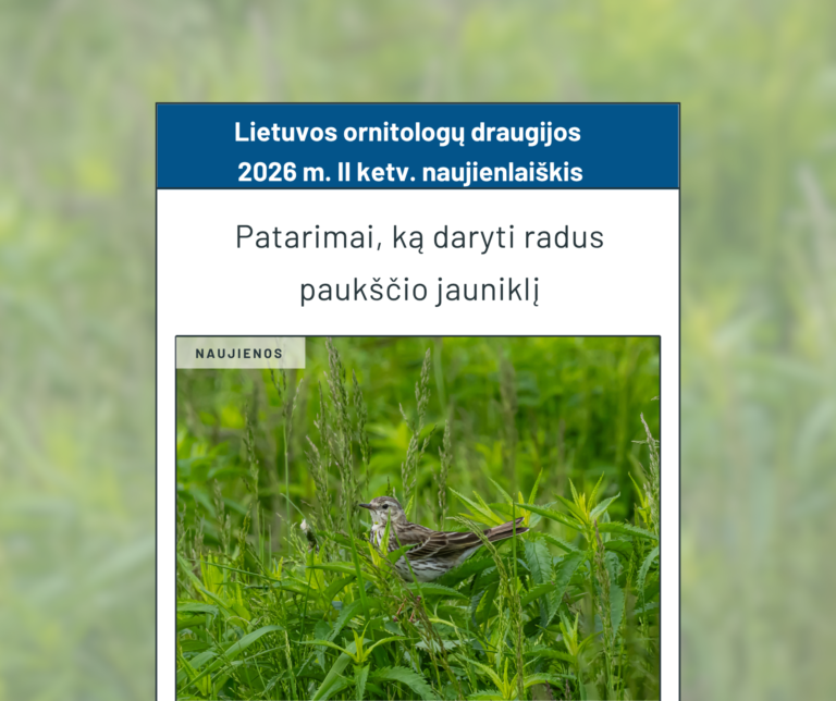Kviečiame skaityti Draugijos 2026 m. II-jo ketvirčio naujienlaiškį!