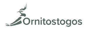 logo-2000x700