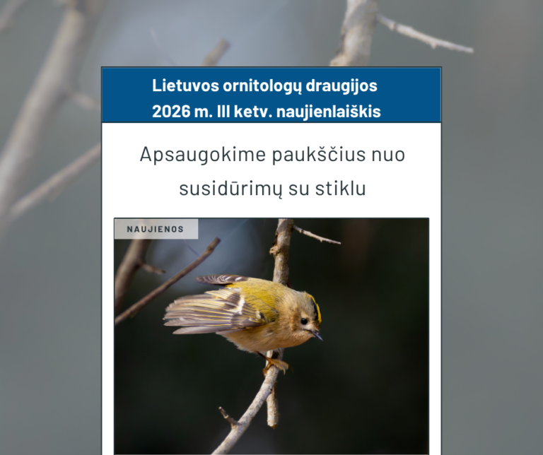 Kviečiame skaityti Draugijos 2026 m. III-jo ketvirčio naujienlaiškį!